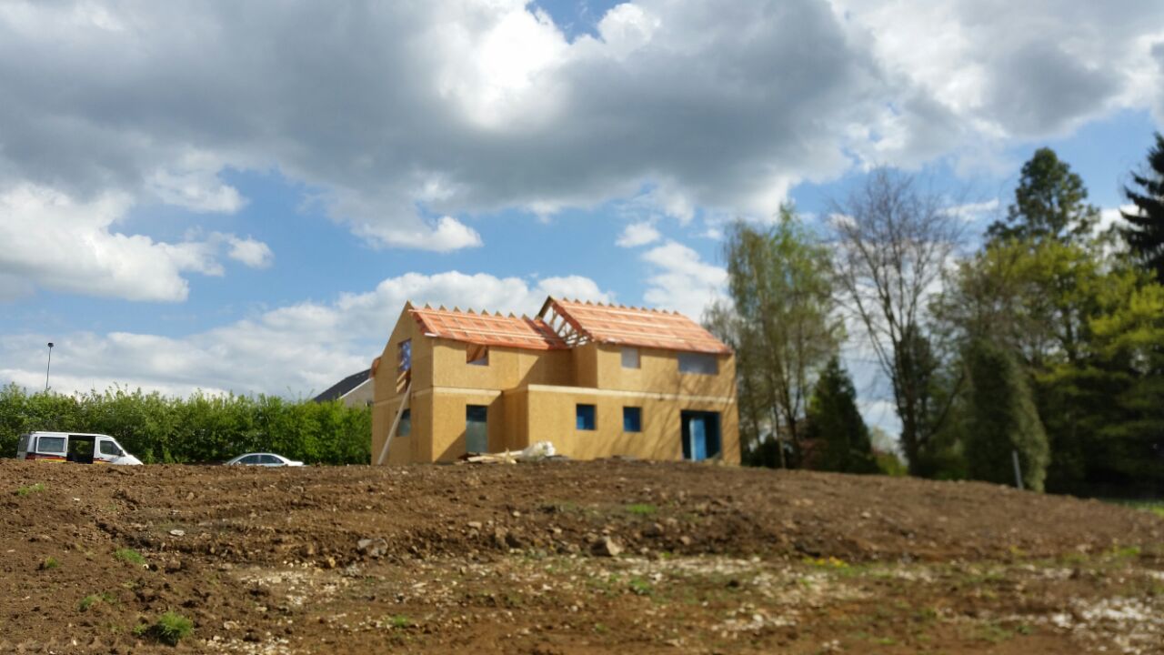 WhatsApp Image 2025-03-03 at 12.28.42 (3)