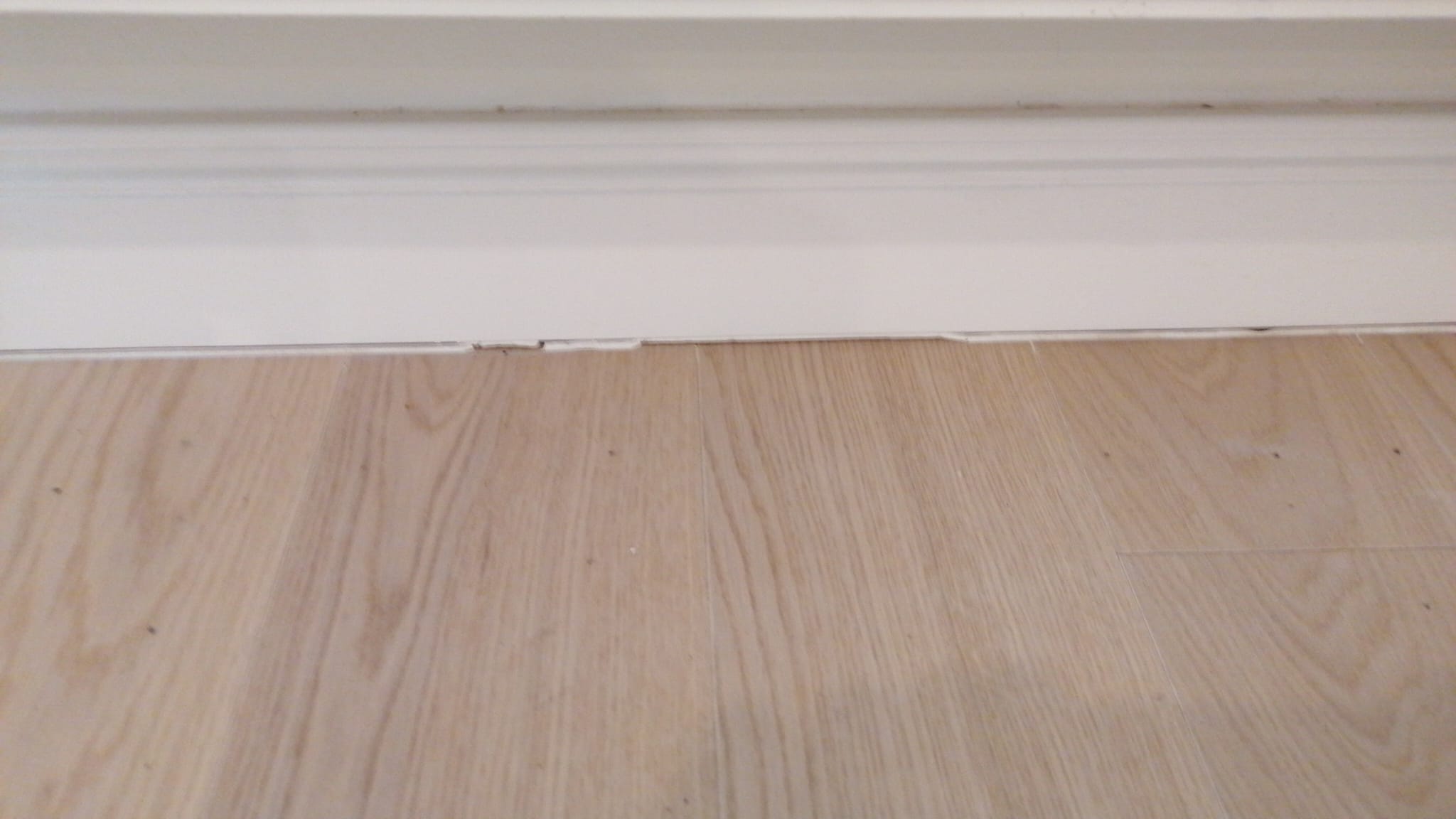 WhatsApp Image 2025-03-03 at 12.38.47 (6)