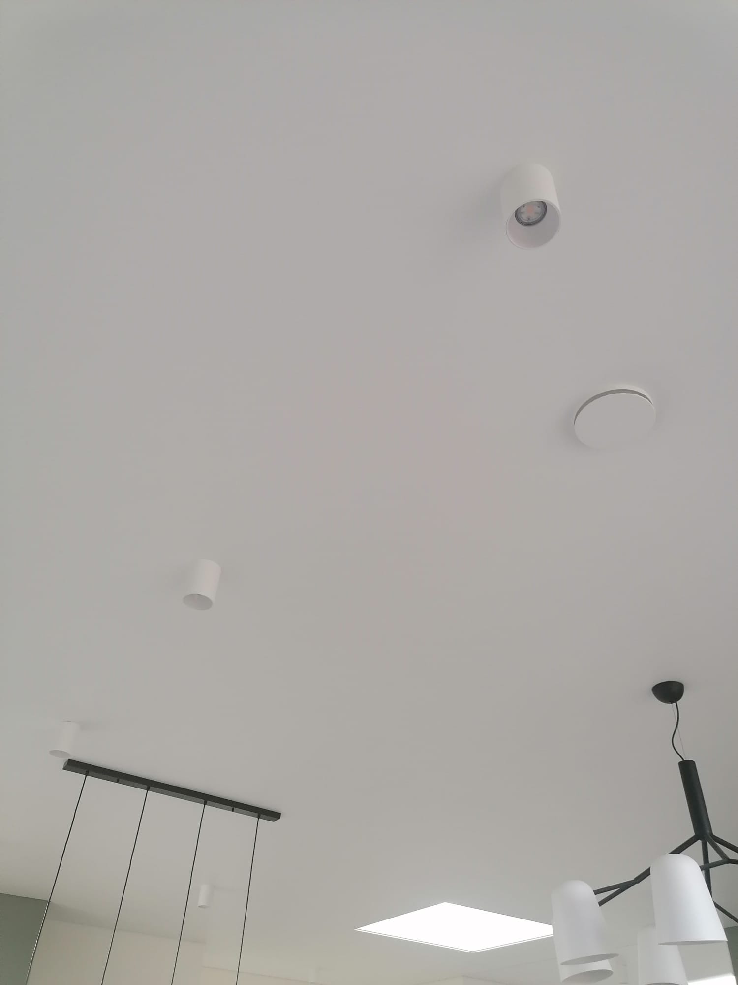 WhatsApp Image 2025-03-03 at 12.49.41