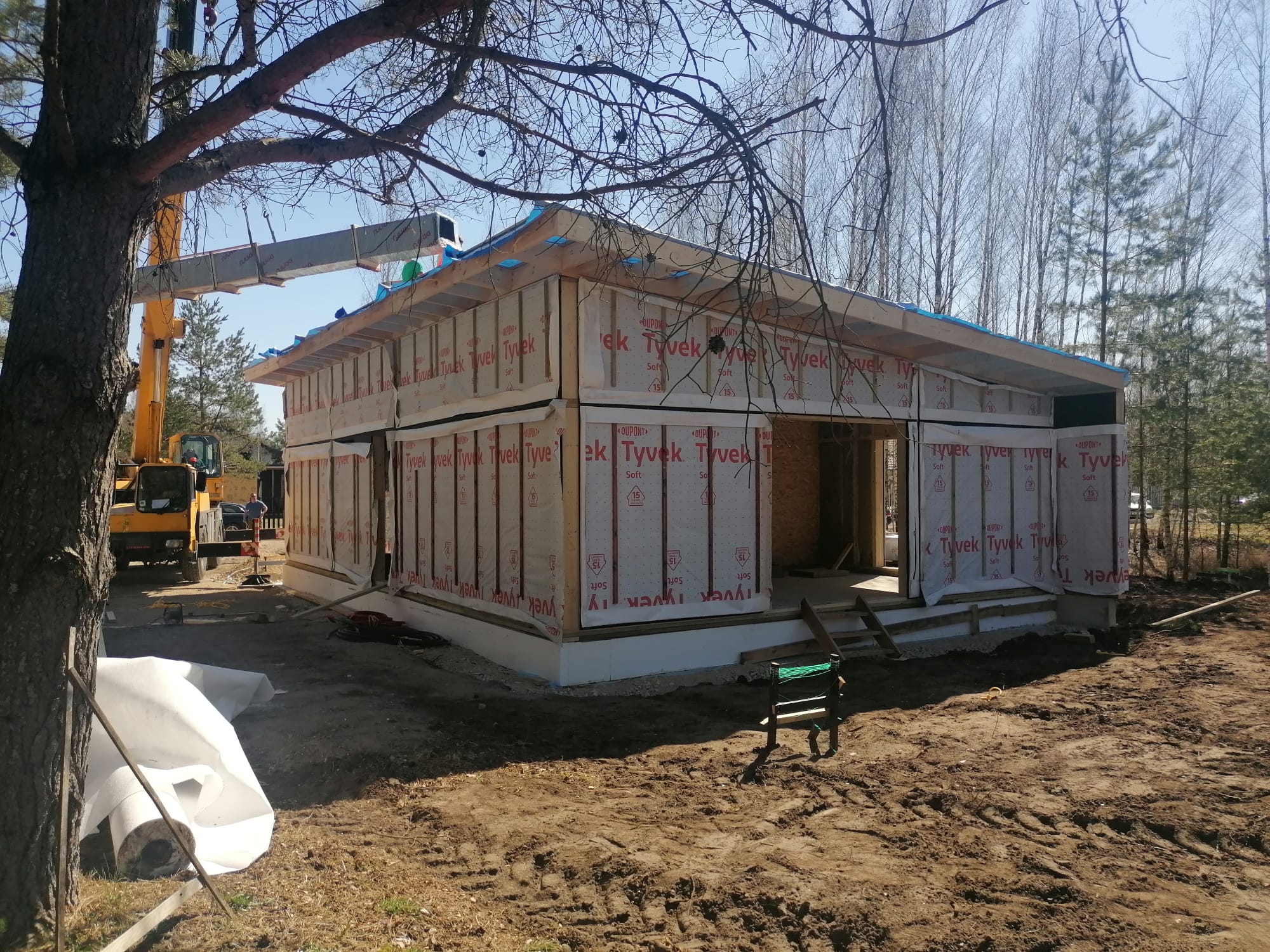 WhatsApp Image 2025-03-03 at 12.49.43 (1)