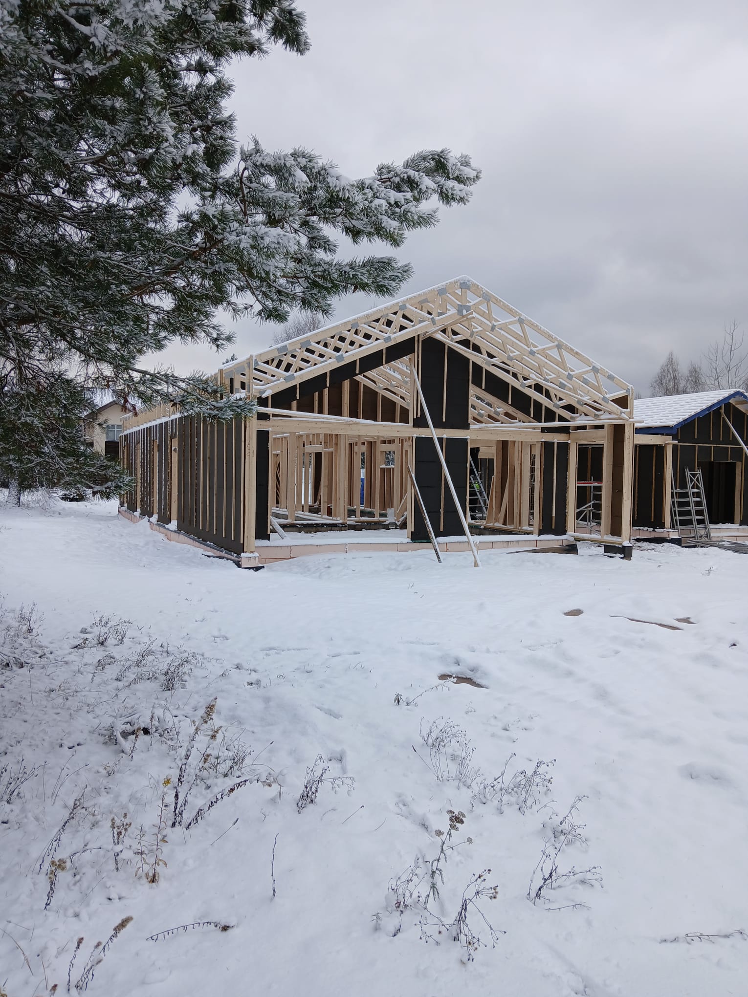 WhatsApp Image 2025-03-03 at 13.38.51